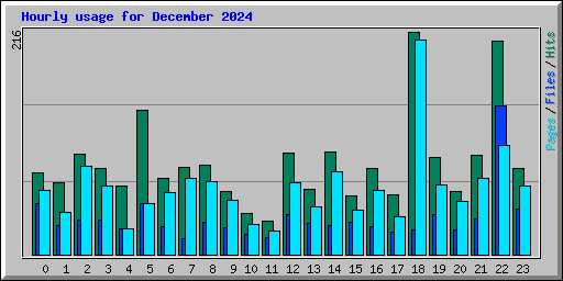 Hourly usage for December 2024